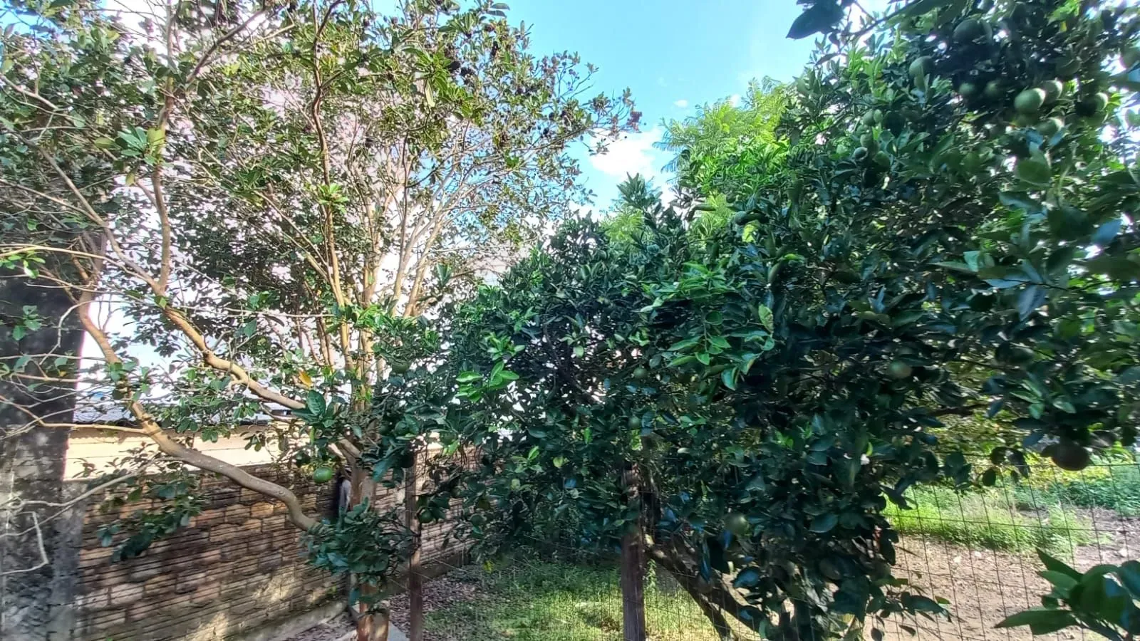 Imagem Chácara à venda l 4 quartos, 1 suíte l 220,7 m² l Aririú da Formiga - Palhoça/SC
