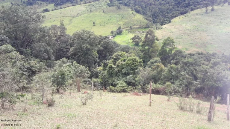 Imagem SITIO RURAL em CALDAS - MG, LARANJEIRAS DE CALDAS
