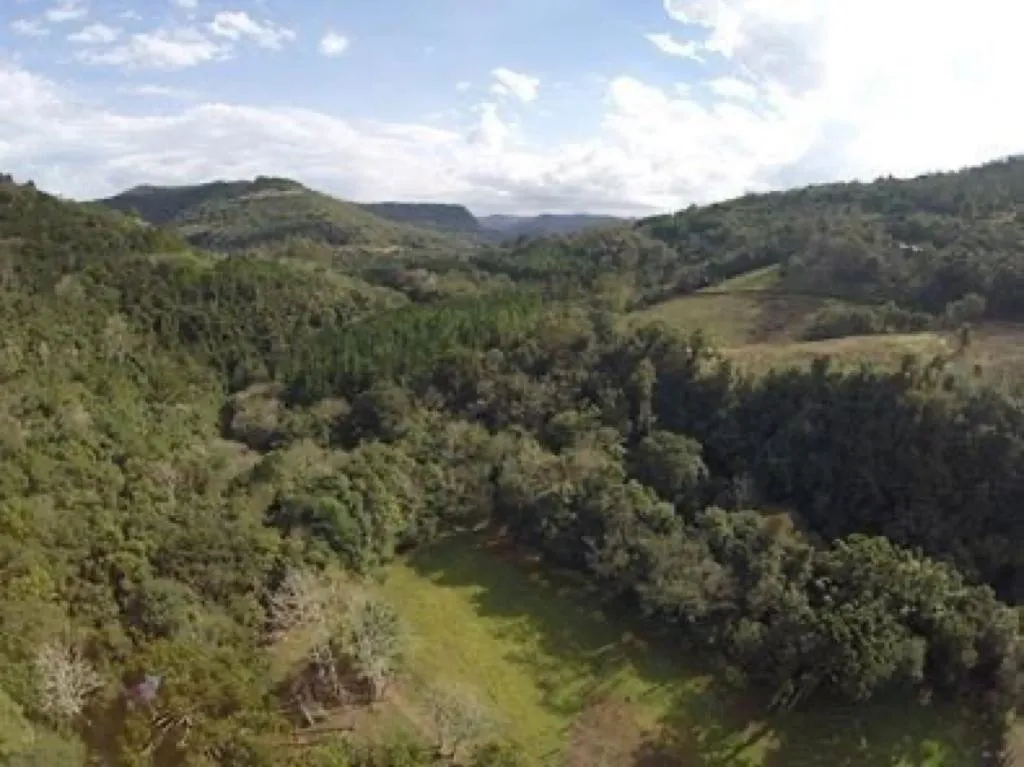 Imagem Chácara à venda em Gramado, Linha Forqueta, 223400m2