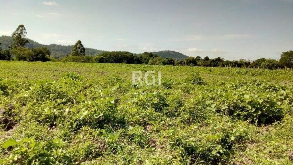 Imagem Sítio para Venda - 20060m² Zona Sul Lami
