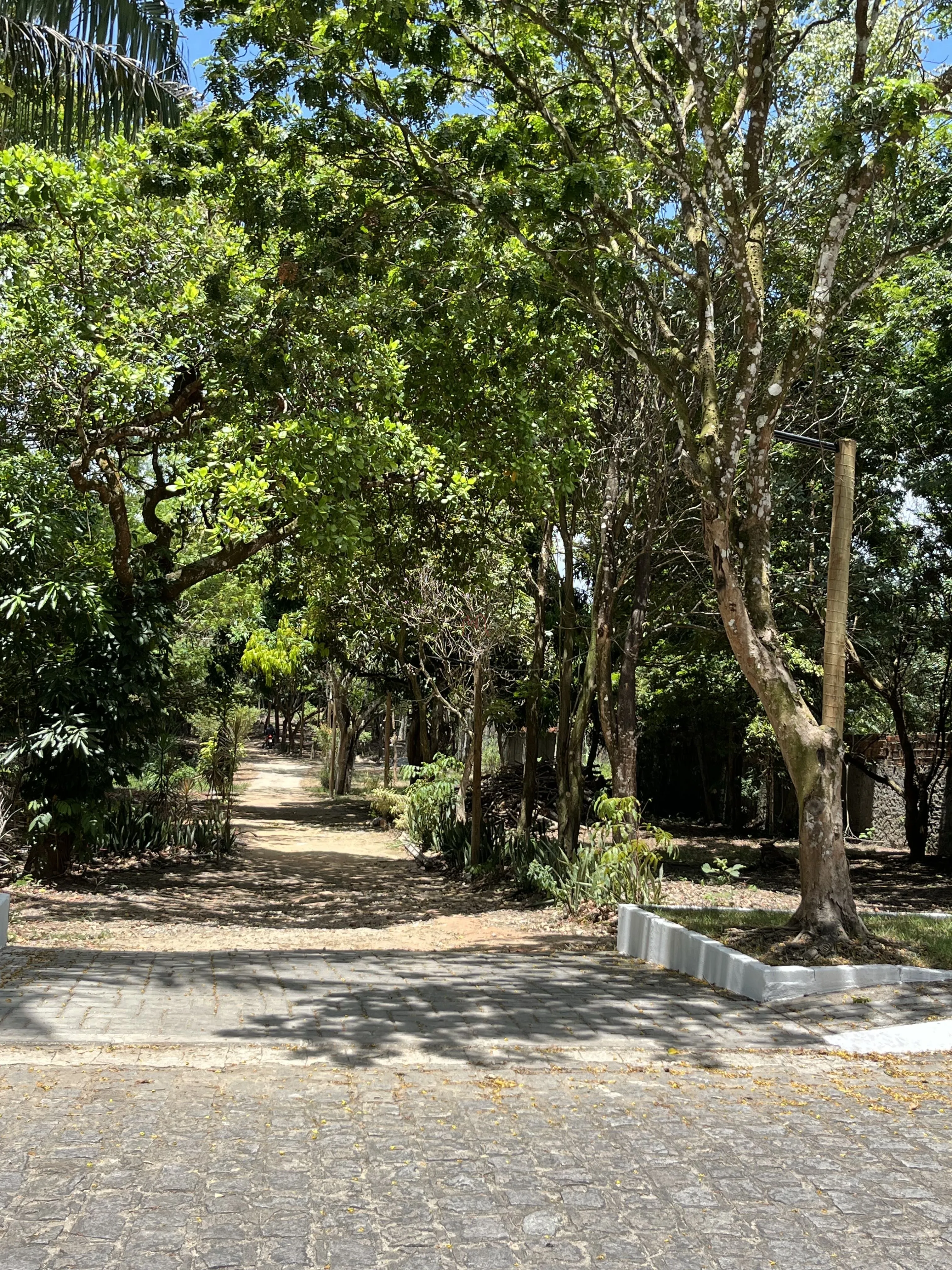 Imagem LOTE À VENDA NO CONDOMÍNIO CHÁCARAS DA LAGOA

Excelente oportunidade para construir sua casa em u...