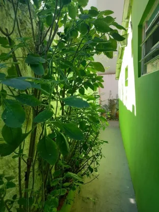 Imagem Casa para Venda em Santo André / SP no bairro Vila Alpina