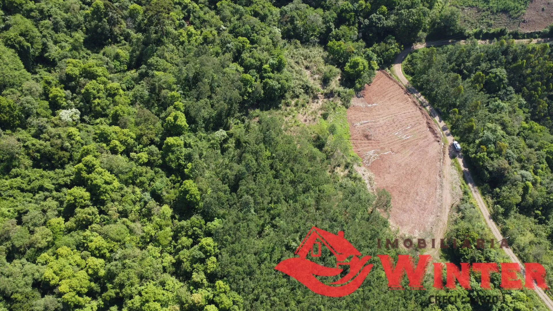 Imagem Área de terras com 10 hectares em Linha Nova