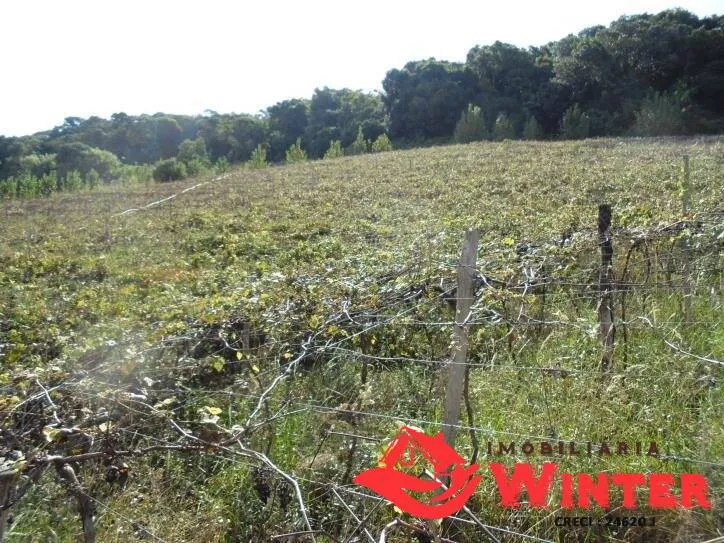 Imagem Bela chácara com 15 hectares no Morro Gaúcho, Vale Real.