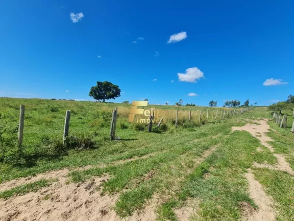 Imagem EXCELENTE FAZENDA A VENDA PORTEIRA FECHADA EM ARARUAMA/RJ.