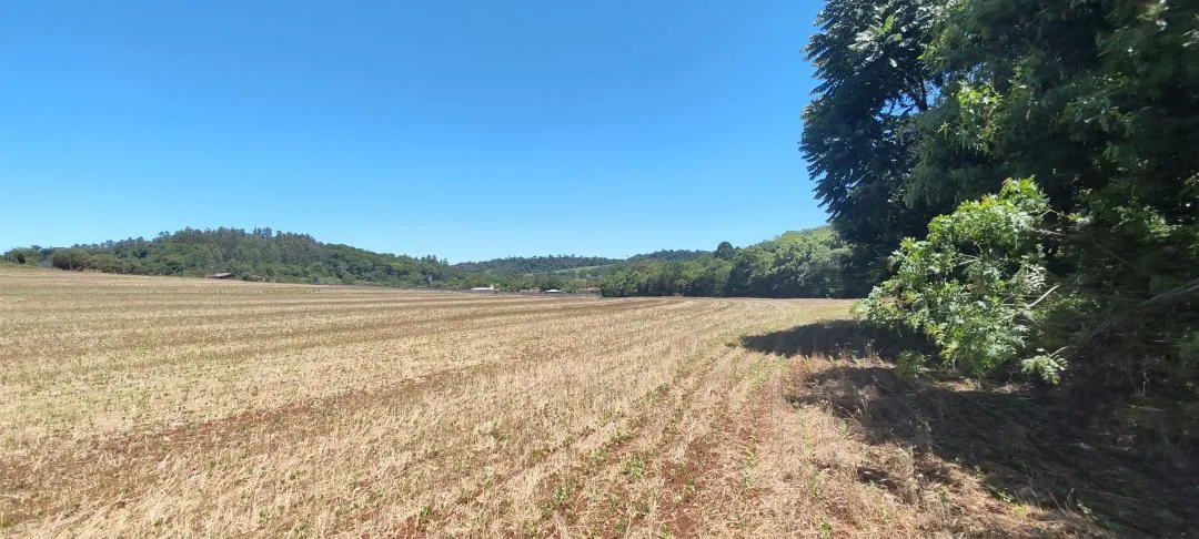 Imagem Chácara à venda em Cascavel - São Salvador - Lavoura e Rio