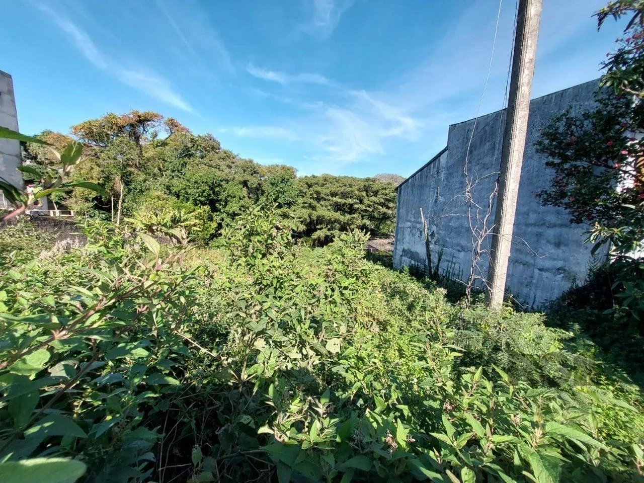 Imagem Terreno em Teresópolis