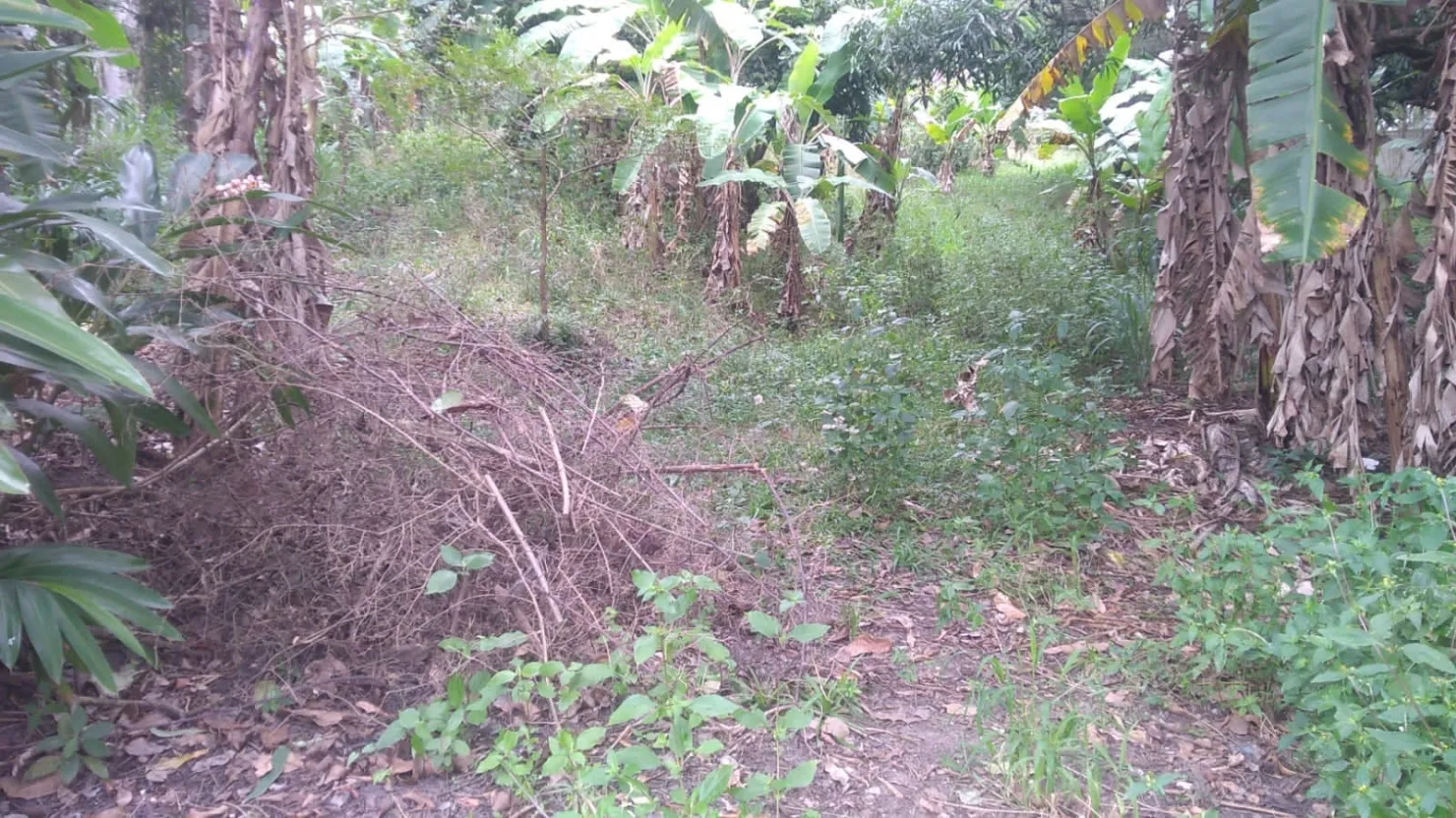 Imagem Terreno à venda 6866M², Crispim, Pindamonhangaba - SP