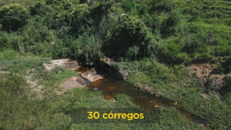 Imagem Fazenda de 130 alqueires à venda em Santa Branca com 30 córregos