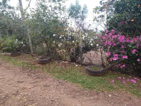 Imagem Sítio para Venda em Marcelino Ramos, Água Santa, 3 dormitórios, 2 banheiros