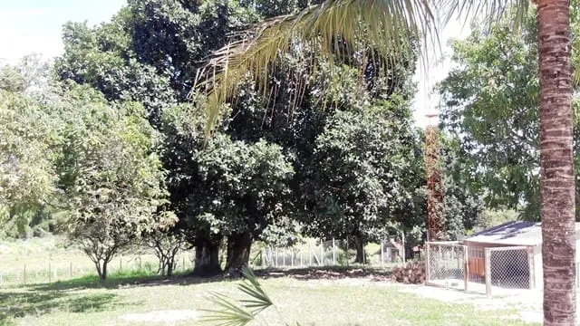 Imagem Chácara à venda 3 Quartos, 2 Suites, 5 Vagas, 5645M², Goiabal, Pindamonhangaba - SP