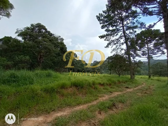 Imagem Área para Loteamento Residencial ou Comercial / Industrial