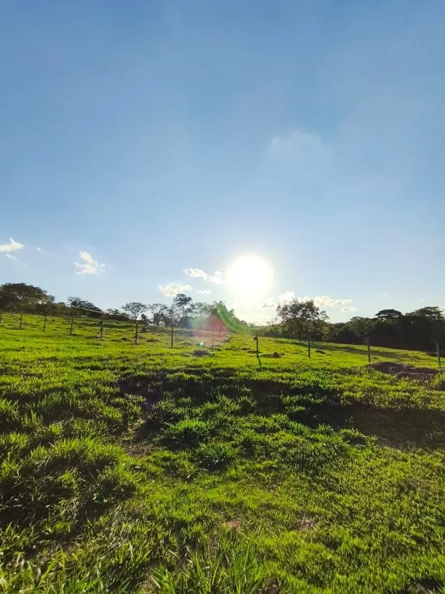 Imagem Vende-se Sítio na MG-050 ( São Sebastião d oeste ) 9,6 hectares de área