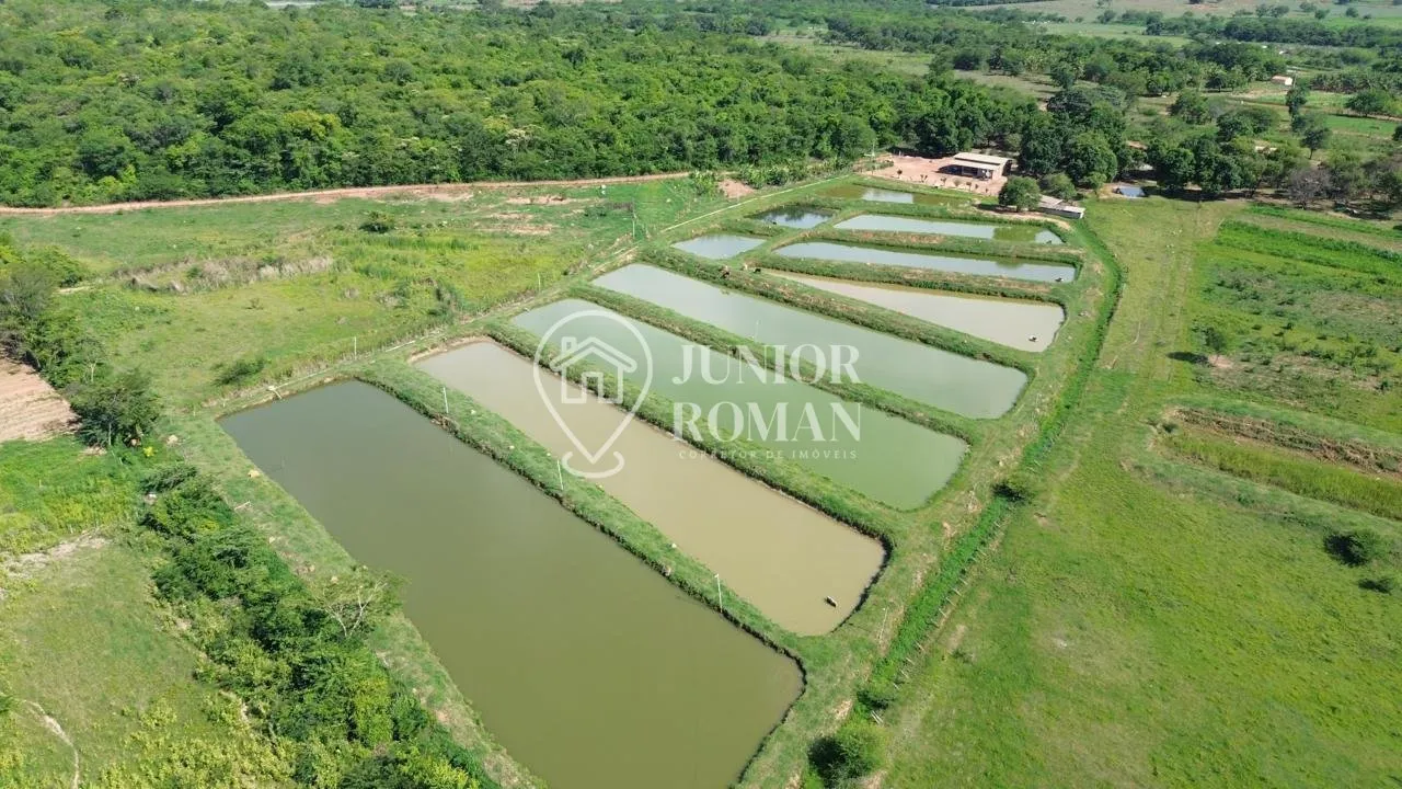 Imagem CHÁCARA / SÍTIO À VENDA COM 5 HECTARES - EXCELENTE ESTRUTURA RURAL