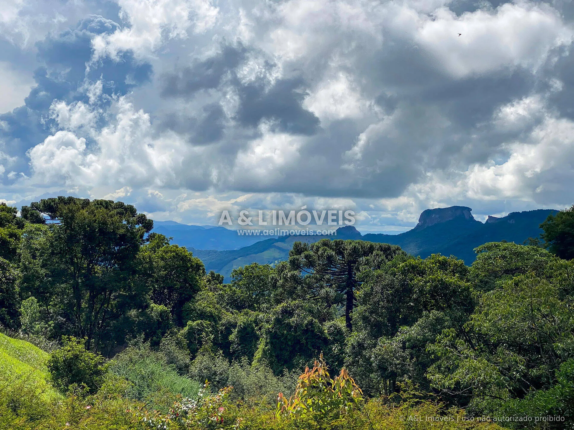 Imagem Mansão em Campos do Jordão | 8.048,00 m² | Vista Pedra do Baú e 6 Suítes