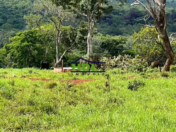 Fazenda 398 Alqs em Torixoréu/MT