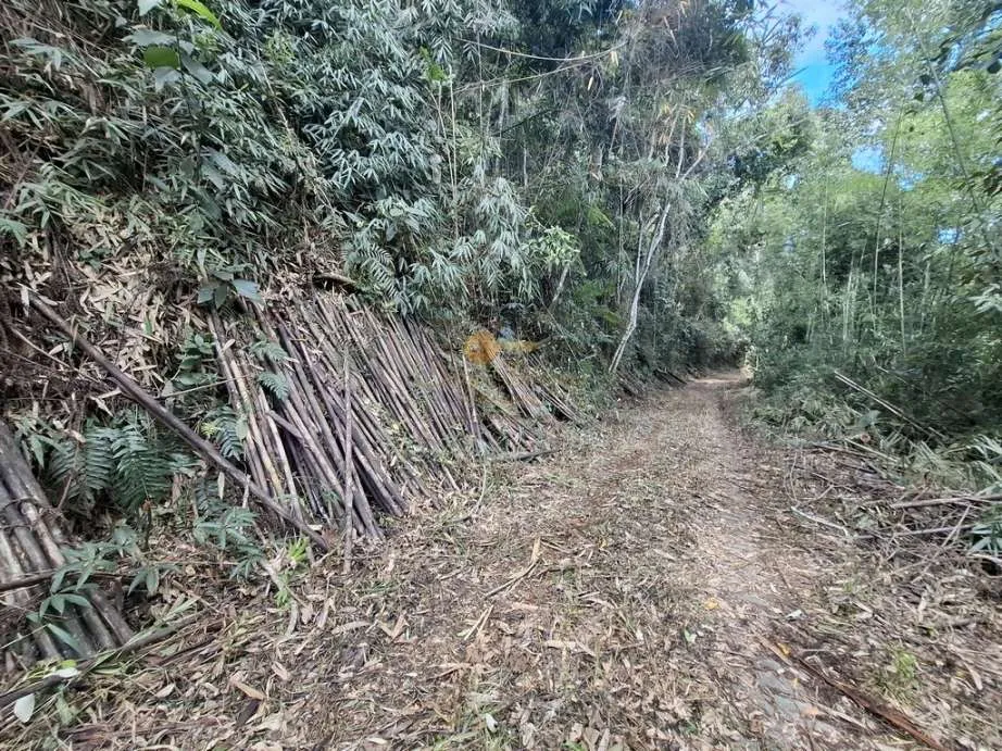 Imagem Terreno para Venda em Teresópolis / RJ no bairro Albuquerque
