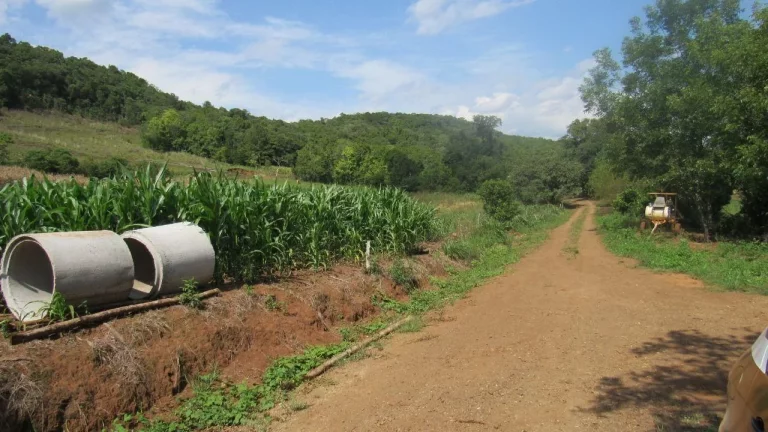 Imagem Área Agrícola para Venda em Concórdia, Linha Sertão
