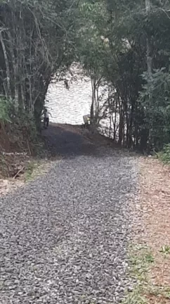 Imagem Sítio para Venda em Itá, Interior, 2 dormitórios, 1 banheiro, 1 vaga