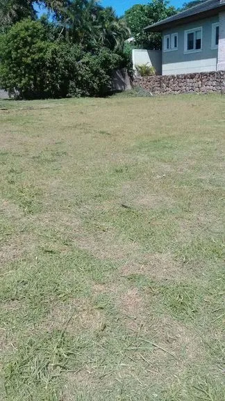 Imagem Terreno à Venda, 900 m² em Rio Tavares - Florianópolis