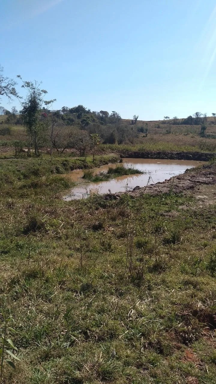 Imagem Terreno à venda 4000M², Bosque dos Ipês, Guaratinguetá - SP