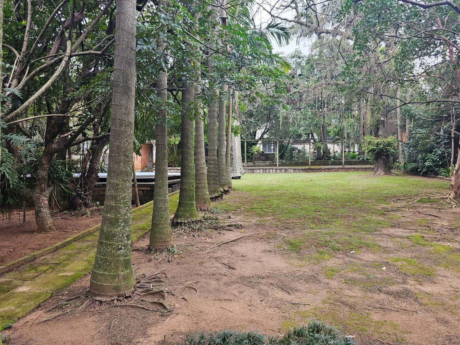 Imagem Terreno próprio para construção de condomínio de casas ou apartamentos
