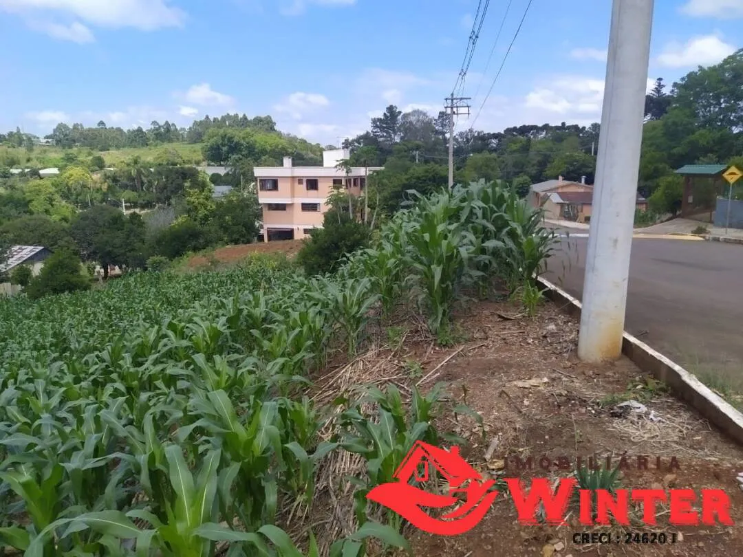 Imagem Terreno com 781m² em Alto Feliz.