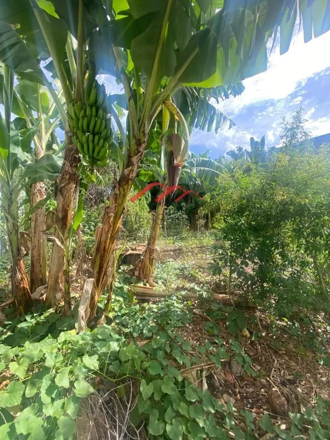 Imagem Terreno para Venda em Sumaré, Parque Residencial Salerno (Nova Veneza)