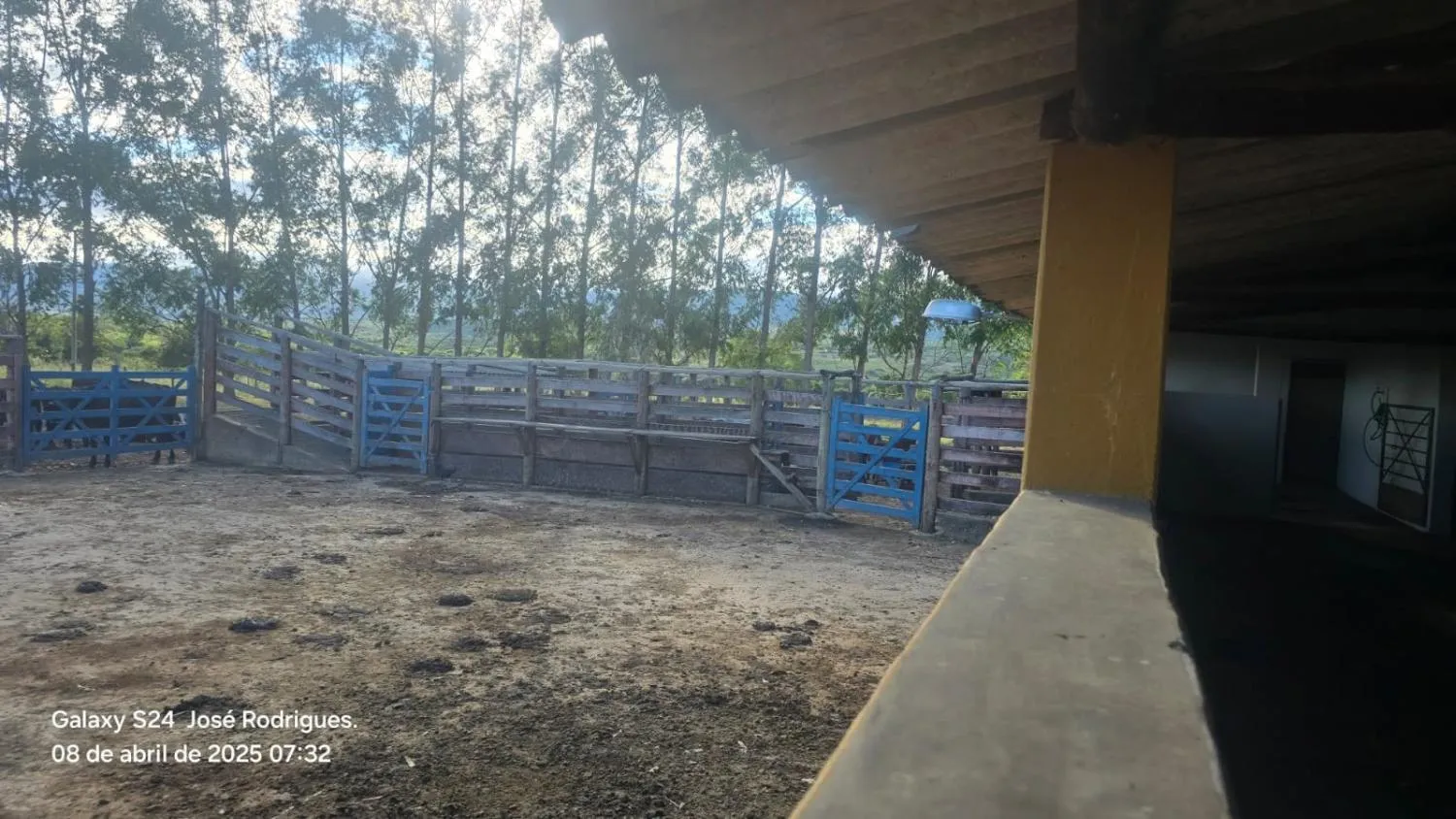 Imagem FAZENDA À VENDA ? PORTEIRA FECHADA / BUENÓPOLIS/MG área total de 223 hectares