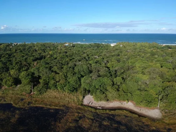 Imagem ÁREA NA PONTA DA BALEIA