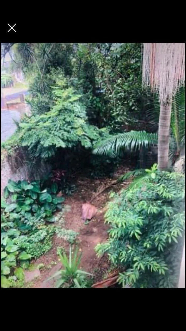 Imagem Casa em Bom Jesus