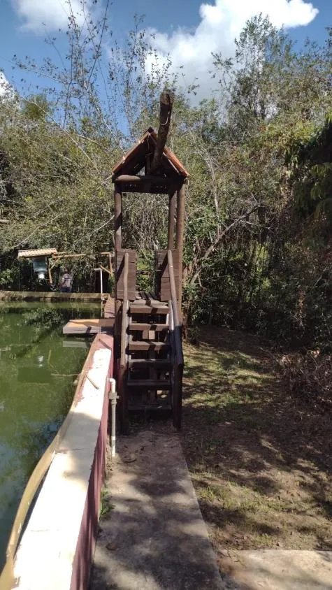 Imagem Sítio a venda com 6.000 m², localizado em Crucilândia/ MG