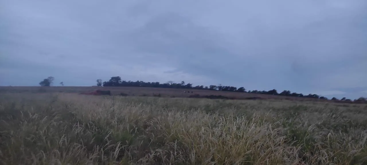 Imagem FAZENDA À VENDA - CRUCILÂNDIA (MG) 120 hectares de área total