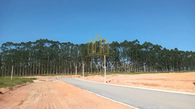 Imagem Ótimo Terreno Vila Amélia 200m² Zona Sul