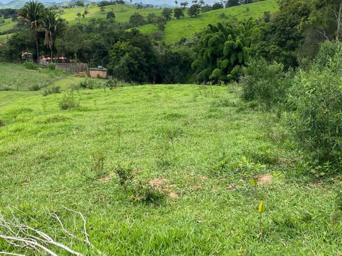 Imagem Vendo uma ótima chácara em Itaguara/MG com 23.000 m²