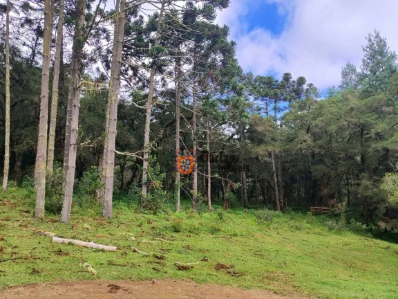 Imagem Sítio à venda, 60500 m² por R$ 905.000 - Bom Jardim - Camanducaia/MG