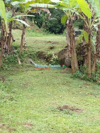 Imagem Linda Casa com 2700 metros de área verde