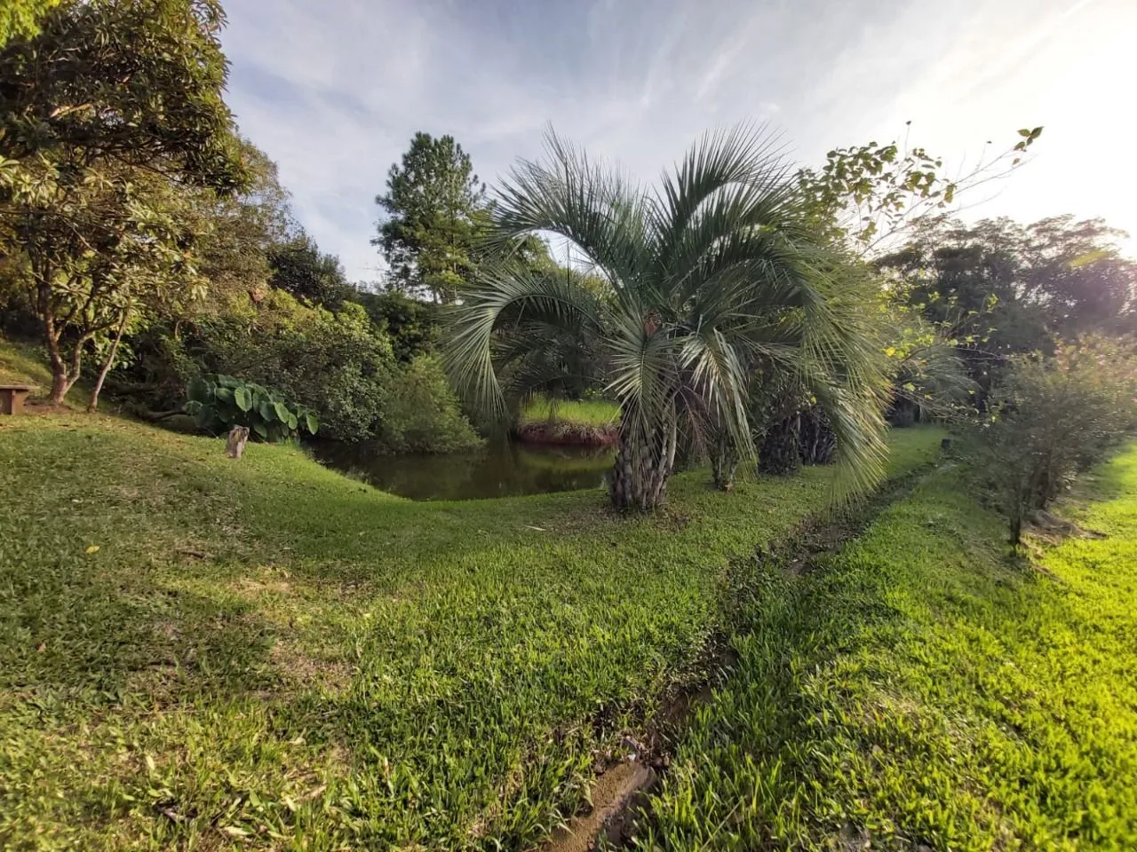 Imagem Sitio no bairro Lomba do Pinheiro