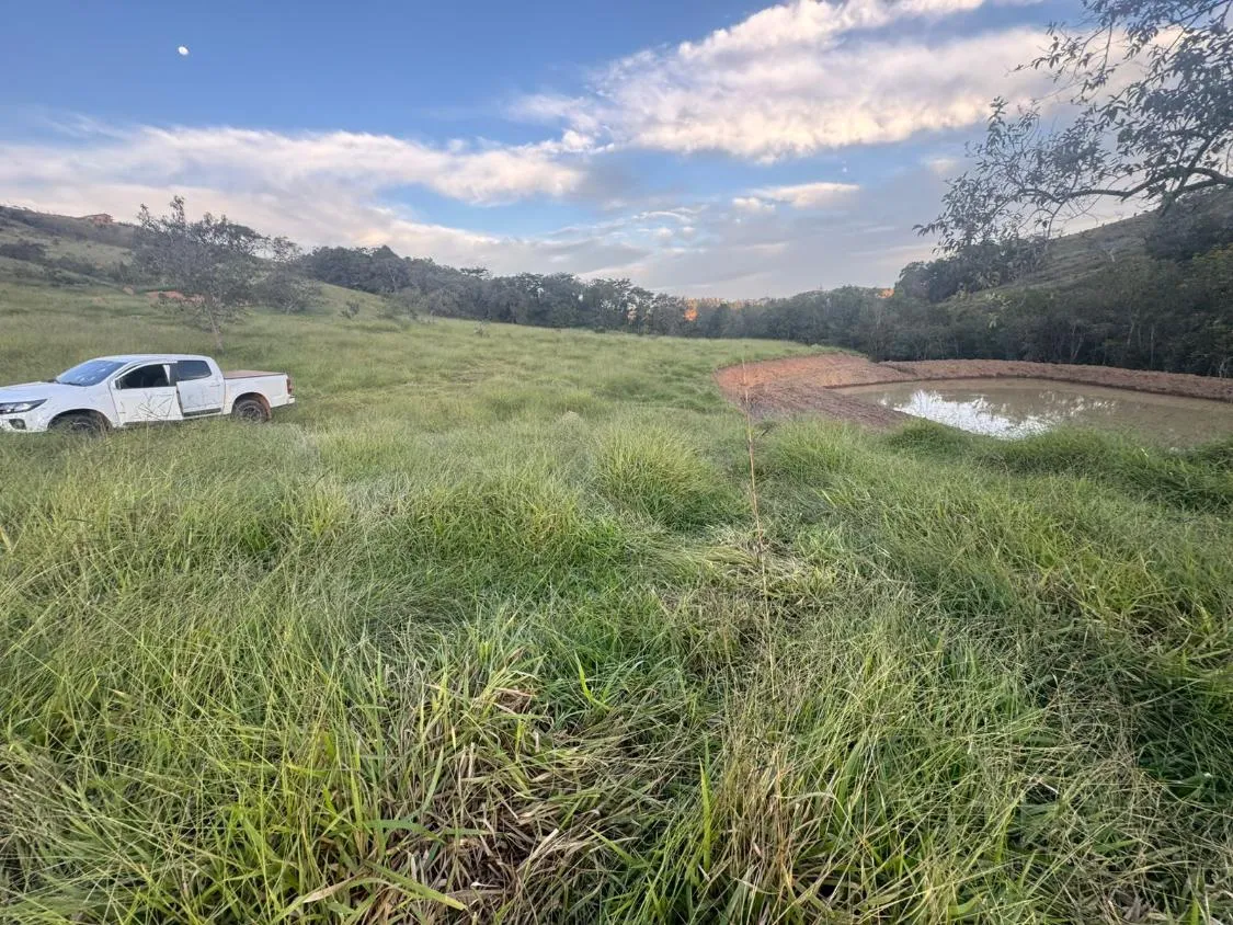 Imagem Venda de Excelente Terreno em Piedade dos Gerais/MG 3 hectares de terra