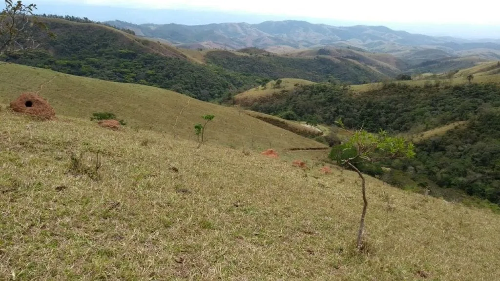 Imagem Grande Oportunidade Rural: 89 Alqueires com Expansão para 100.