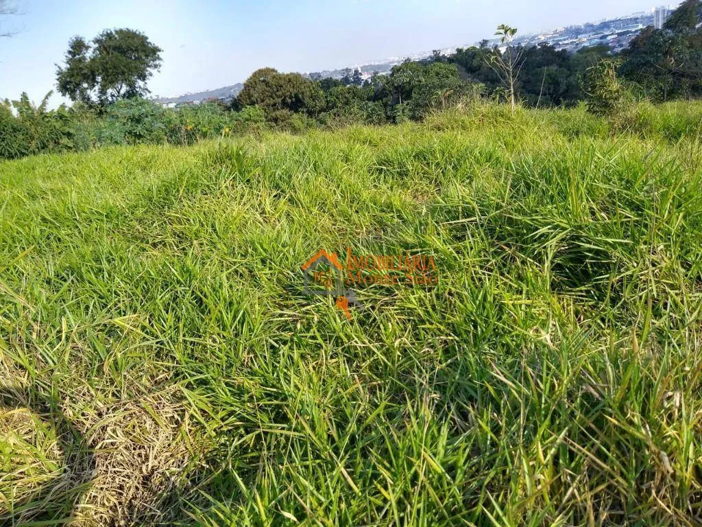 Imagem Área à venda, 39000 m² por R$ 25.000.000,00 - Parque Primavera - Guarulhos/SP