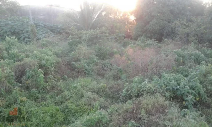 Imagem Terreno a Venda no bairro Pacajus - Pacajus, CE