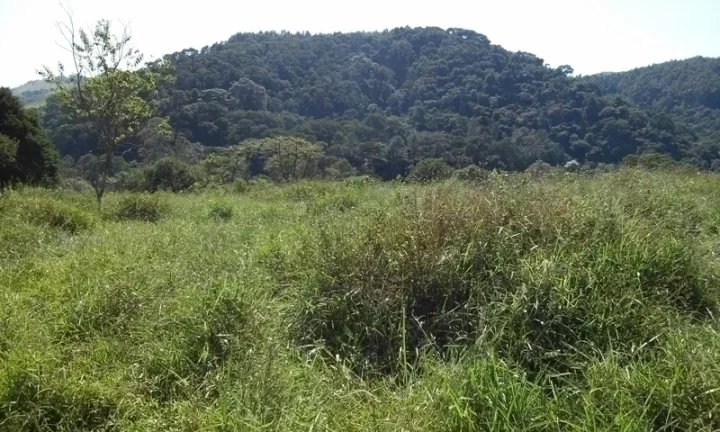 Imagem Linda Área para Loteamento em Piracaia 20 alqueires