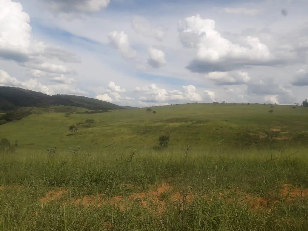 Imagem Vendo uma ótima fazenda em Passatempo 315 hectares