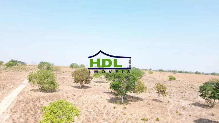 Imagem Fazenda de OPORTUNIDADE Dupla Aptidão em Peixe do Tocantins