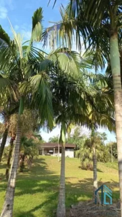 Imagem Chácara/Sítio, propriedade produtiva, 30 hectares com plantação de palmito pupunha, em Guaratuba PR