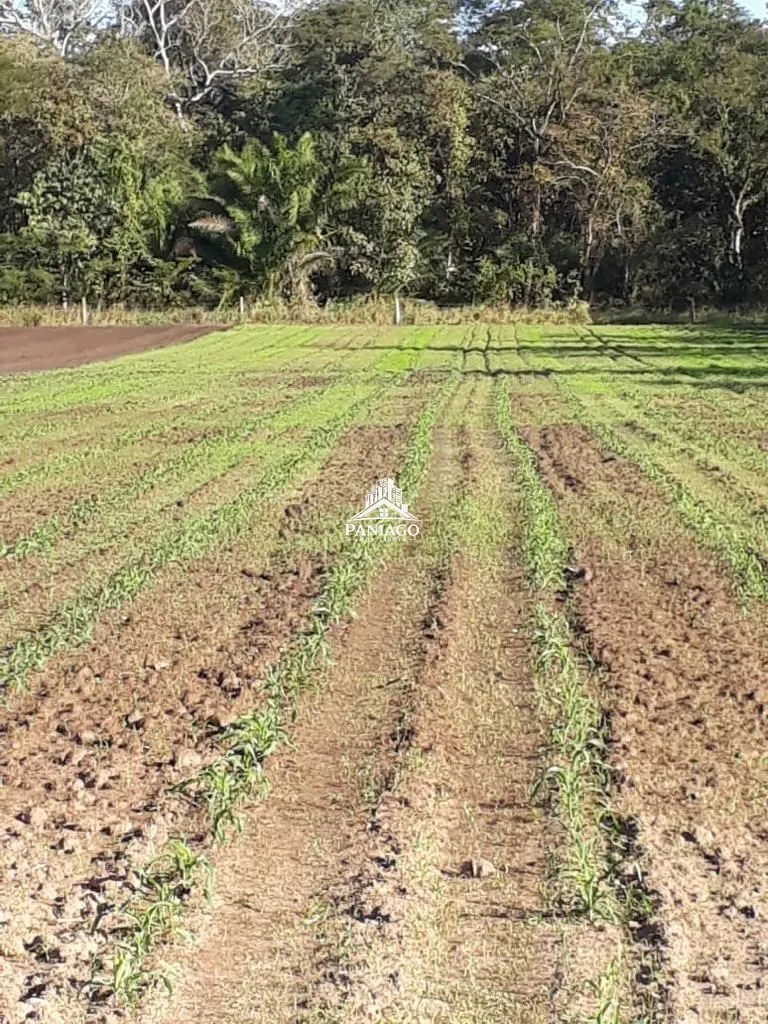 Imagem Sítio de 10,63 Hectares à Venda em Leverger/MT | Estrutura para Pecuária