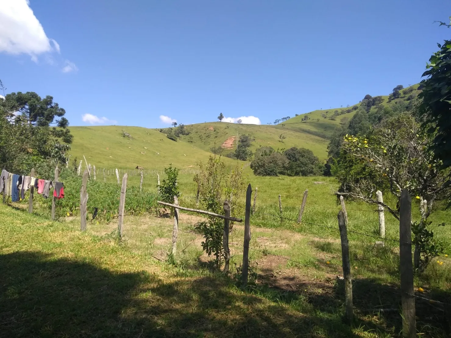Imagem Chácara à venda 2 Quartos, 768000M², Zona Rural, Cunha - SP