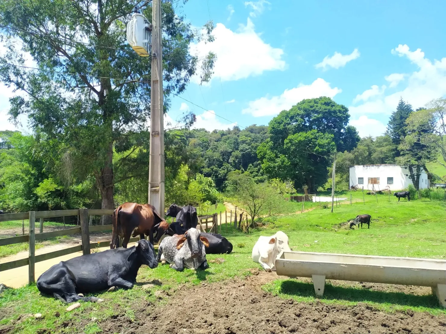 Imagem Chácara à venda 2 Quartos, 411400M², Zona Rural, Cunha - SP