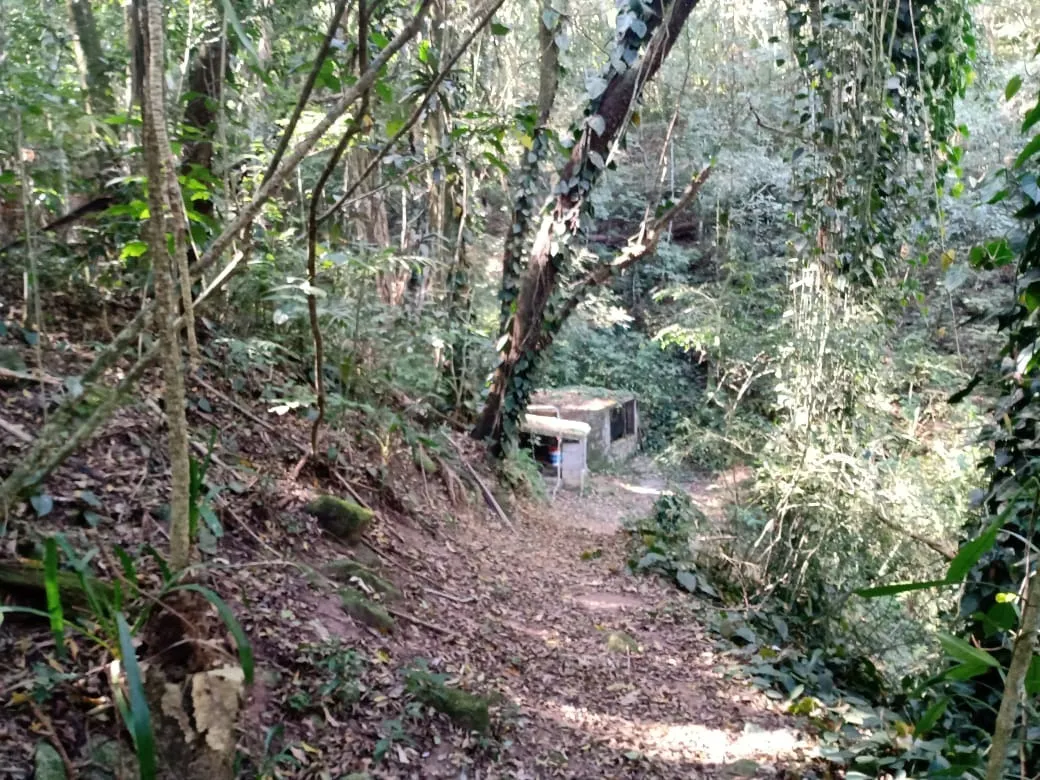 Imagem Encantador Sítio à Venda em Piedade/SP - Uma joia de 5 alqueires